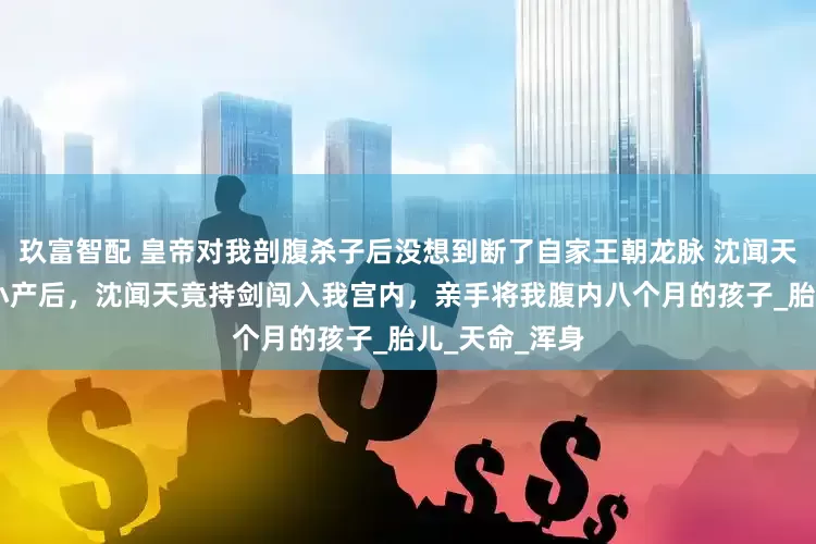 玖富智配 皇帝对我剖腹杀子后没想到断了自家王朝龙脉 沈闻天张玉薇 贵妃小产后，沈闻天竟持剑闯入我宫内，亲手将我腹内八个月的孩子_胎儿_天命_浑身